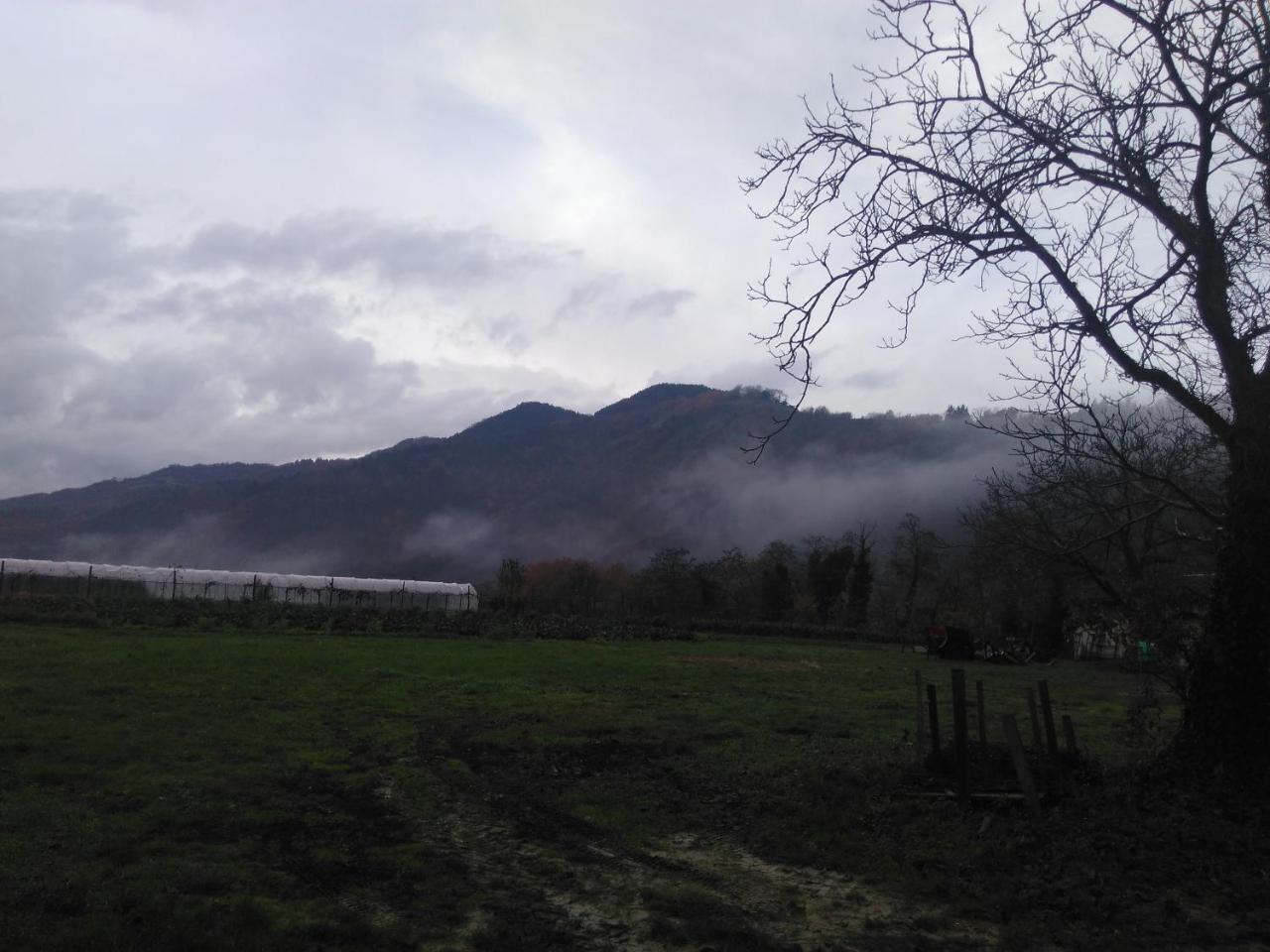 Corte San Ruffillo Country Resort Dovadola ภายนอก รูปภาพ